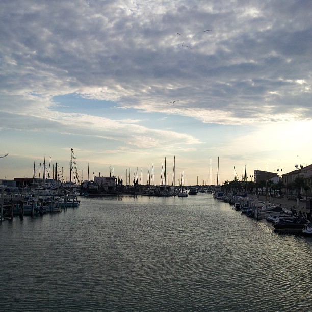 999994_521044904635099_1329033520_n