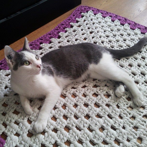 1385389_551178331621756_990246837_n