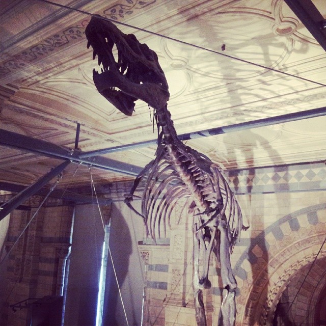 85628428b10211e3a8701285f9dba909_8