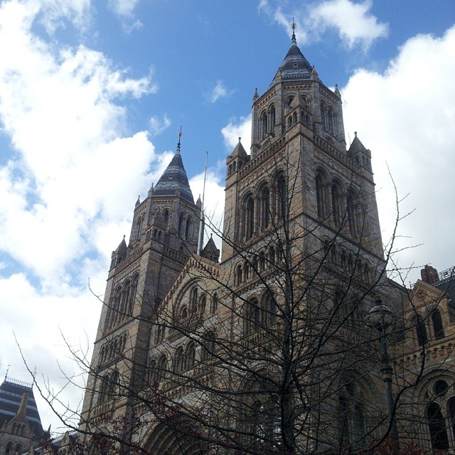 c799509cb10211e3baae12c7a759b495_8