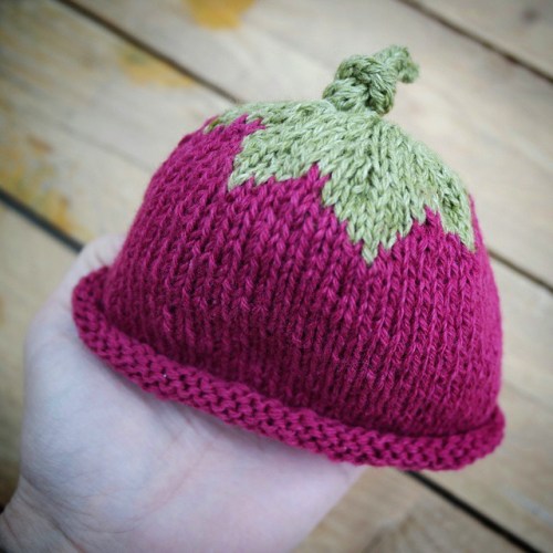 11176366_487784481373210_1281296965_n